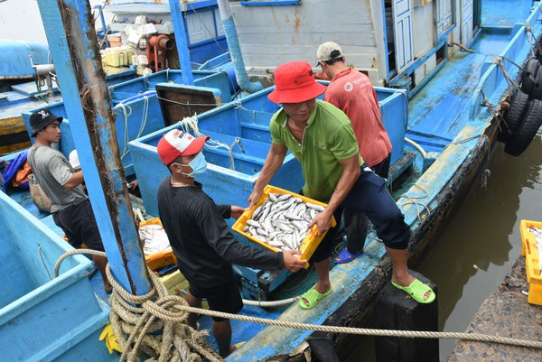 Les provinces méridionales renforcent leurs efforts de lutte contre la pêche INN ảnh 2 Les provinces méridionales renforcent leurs efforts de lutte contre la pêche INN ảnh 2