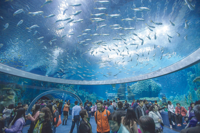 “Venez visiter ma ville natale, Nha Trang !” ảnh 2