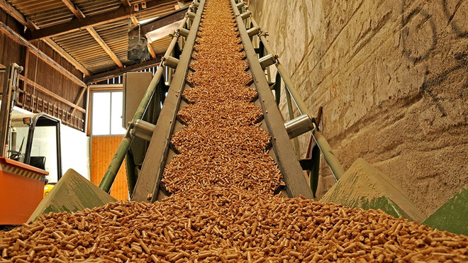 Une nouvelle usine de granulés de bois de 14,5 millions de dollars à Binh Dinh ảnh 1 Une nouvelle usine de granulés de bois de 14,5 millions de dollars à Binh Dinh ảnh 1