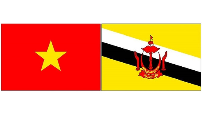 Vietnam - Brunei : volonté commune de dynamiser la coopération ảnh 1 Vietnam - Brunei : volonté commune de dynamiser la coopération ảnh 1