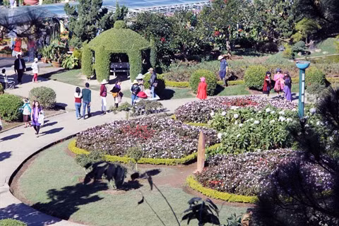 Dà Lat dans le cœur d’un ancien ambassadeur sud-coréen ảnh 2