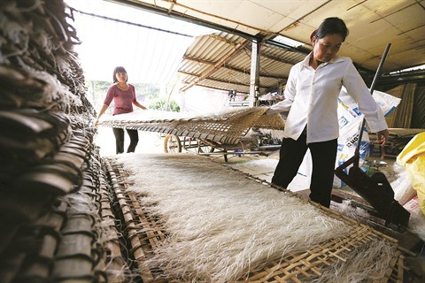 Les vermicelles de tolomane de Minh Hông ảnh 1 Les vermicelles de tolomane de Minh Hông ảnh 1