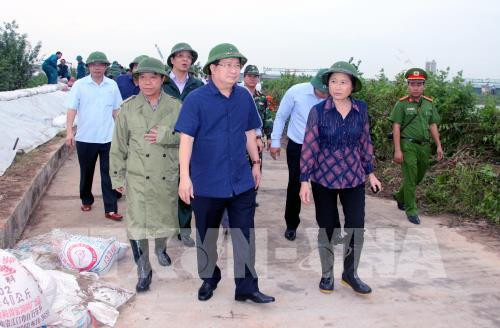 Assurer la sécurité des habitants face au typhon Sarika ảnh 1 Assurer la sécurité des habitants face au typhon Sarika ảnh 1