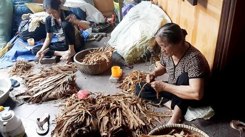 Ce que dit le village des Pamplemousses ảnh 2