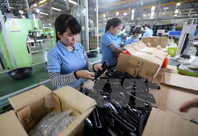 L’APEC 2017 privilégie le développement durable et fort de l’industrie auxiliaire ảnh 1