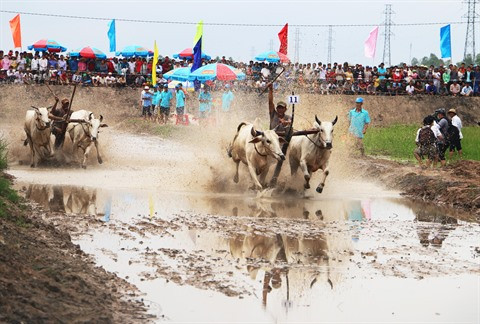 An Giang veut devenir un aimant à touristes du delta du Mékong ảnh 2 An Giang veut devenir un aimant à touristes du delta du Mékong ảnh 2