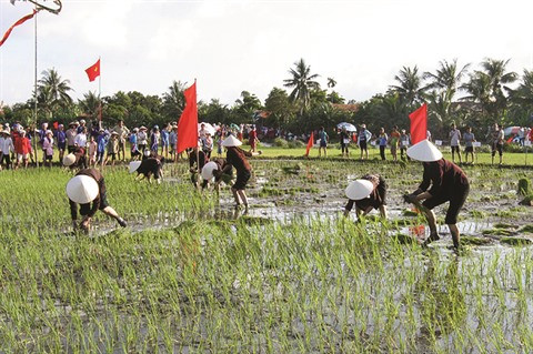 Une fête de descente aux champs pour aider l’agriculture à fleurir ảnh 1 Une fête de descente aux champs pour aider l’agriculture à fleurir ảnh 1