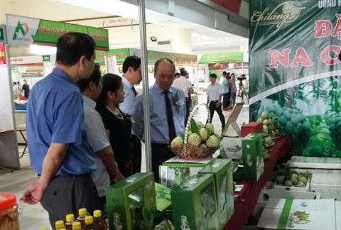 Un accord pour améliorer la qualité des repas des travailleurs ảnh 2 Un accord pour améliorer la qualité des repas des travailleurs ảnh 2