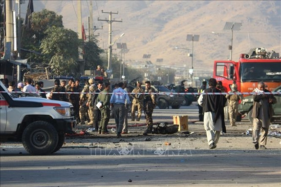 ONU: le Vietnam soutient le processus de paix mené par l’Afghanistan ảnh 1