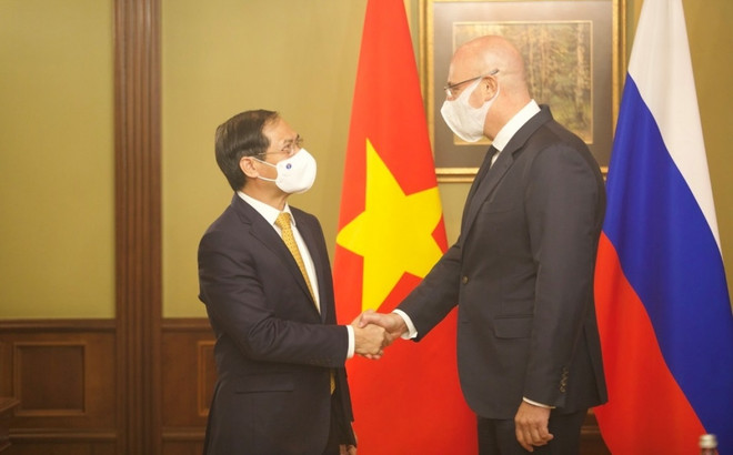 Le ministre des AE Bui Thanh Son rencontre le vice-PM russe Dmitry Chernychenko ảnh 1 Le ministre des AE Bui Thanh Son rencontre le vice-PM russe Dmitry Chernychenko ảnh 1