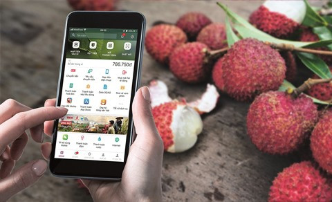 La crise du coronavirus a dopé le commerce de détail électronique ảnh 1 La crise du coronavirus a dopé le commerce de détail électronique ảnh 1