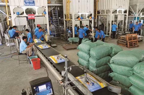 Le secteur privé sur le point de s’envoler ảnh 1