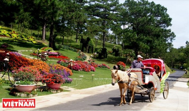Douce balade à Dà Lat, "la ville aux mille fleurs" ảnh 1