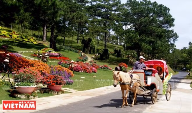 Douce balade à Dà Lat, "la ville aux mille fleurs" ảnh 1