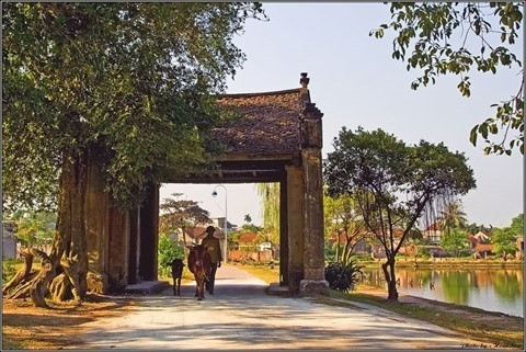 Tour et détour dans l’ancien village de Duong Lâm ảnh 1 Tour et détour dans l’ancien village de Duong Lâm ảnh 1