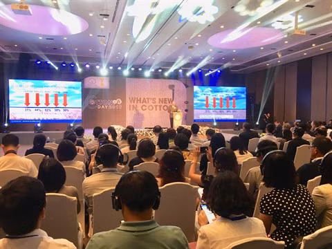 Cinq recommandations vietnamiennes au Conseil américain du coton ảnh 1