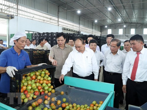 Le PM visite un modèle de production agricole de haute technologie à Lâm Dông ảnh 1 Le PM visite un modèle de production agricole de haute technologie à Lâm Dông ảnh 1