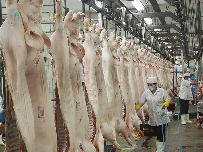 Viande porcine: les importations nationales dépassent le million de dollars en juin ảnh 1 Viande porcine: les importations nationales dépassent le million de dollars en juin ảnh 1