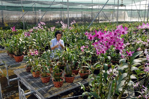 Le Vietnam mise sur le développement du marché des sciences et technologies ảnh 1 Le Vietnam mise sur le développement du marché des sciences et technologies ảnh 1