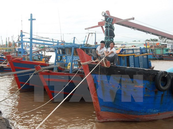 La tempête tropicale Sonca devrait toucher le Centre aujourd’hui ảnh 1