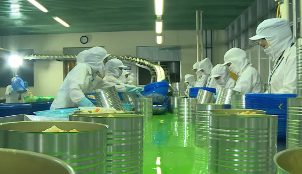 Alimentaire: un nouveau projet du groupe sud-coréen mis en chantier à Hô Chi Minh-Ville ảnh 1 Alimentaire: un nouveau projet du groupe sud-coréen mis en chantier à Hô Chi Minh-Ville ảnh 1