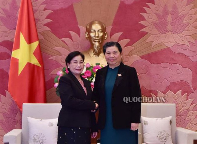 Renforcement des relations Vietnam-Laos dans l’audit ảnh 1 Renforcement des relations Vietnam-Laos dans l’audit ảnh 1