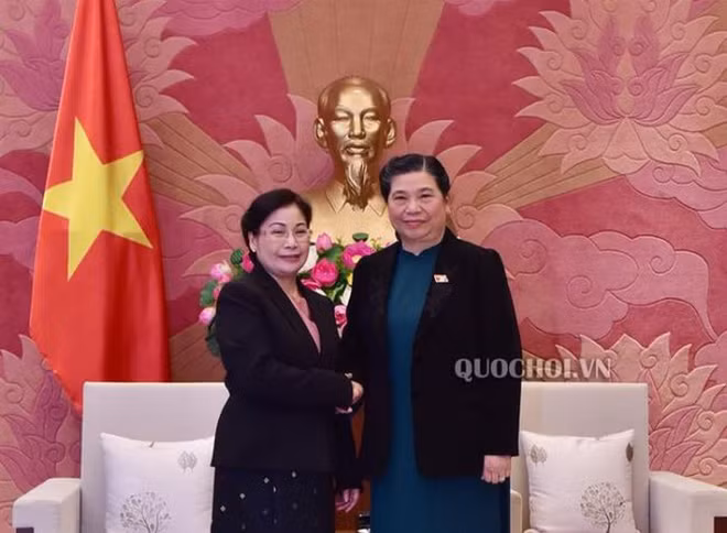 Renforcement des relations Vietnam-Laos dans l’audit ảnh 1