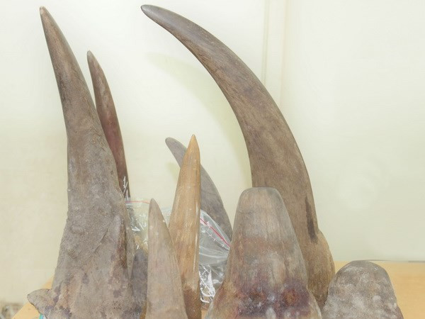 Contrôle strict du trafic illégal d'animaux et de plantes sauvages ảnh 1