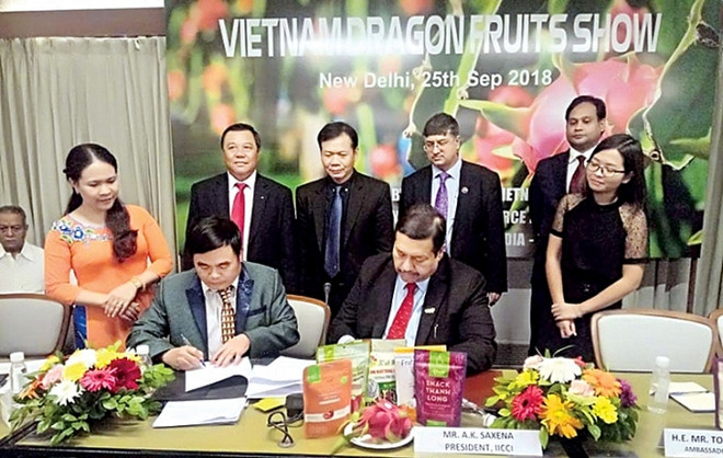 Inde: belles perspectives de coopération commerciale ảnh 1 Inde: belles perspectives de coopération commerciale ảnh 1