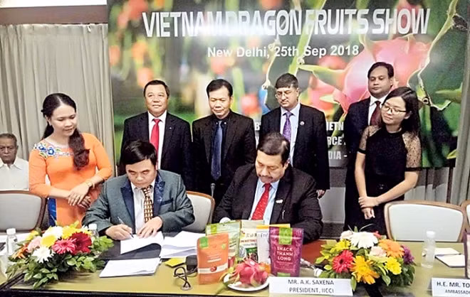 Inde: belles perspectives de coopération commerciale ảnh 1 Inde: belles perspectives de coopération commerciale ảnh 1