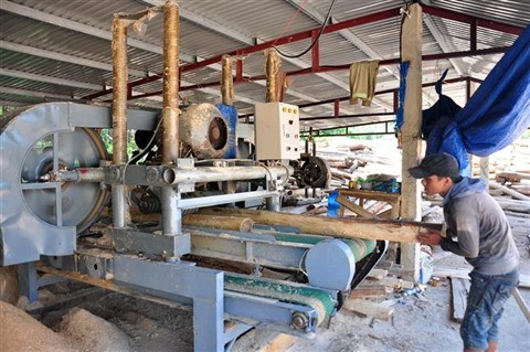 L’APV/FLEGT: les opportunités de la filière bois vietnamienne ảnh 2 L’APV/FLEGT: les opportunités de la filière bois vietnamienne ảnh 2