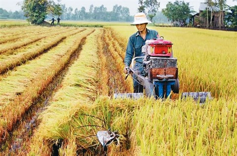 Vers une agriculture 4.0 ảnh 1 Vers une agriculture 4.0 ảnh 1