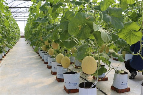 Vers une agriculture 4.0 ảnh 2 Vers une agriculture 4.0 ảnh 2