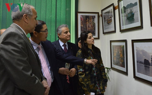 La Journée de la culture vietnamienne se tient en Égypte ảnh 1 La Journée de la culture vietnamienne se tient en Égypte ảnh 1