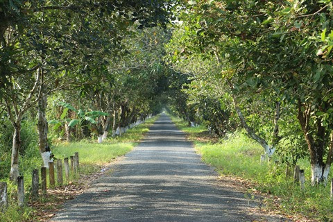 Un grand bol de nature à U Minh Ha ảnh 2 Un grand bol de nature à U Minh Ha ảnh 2
