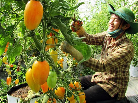 Les relations Vietnam-Japon sur de bons rails ảnh 2 Les relations Vietnam-Japon sur de bons rails ảnh 2