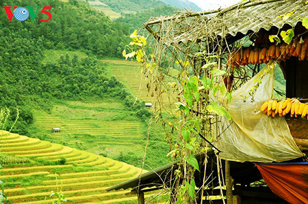 La splendeur des rizières en terrasse de Mù Cang Chai ảnh 2 La splendeur des rizières en terrasse de Mù Cang Chai ảnh 2