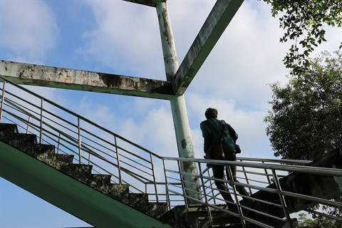 Un grand bol de nature à U Minh Ha ảnh 5 Un grand bol de nature à U Minh Ha ảnh 5