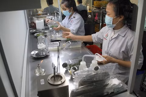 Les intellectuels au centre d'une conférence à Hô Chi Minh-Ville ảnh 2 Les intellectuels au centre d'une conférence à Hô Chi Minh-Ville ảnh 2