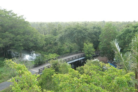 Un grand bol de nature à U Minh Ha ảnh 4 Un grand bol de nature à U Minh Ha ảnh 4