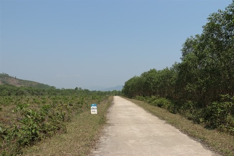 À la découverte de la vallée d’A Luoi ảnh 1 À la découverte de la vallée d’A Luoi ảnh 1