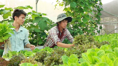 Pham Công Chinh ou l’incarnation de l’agriculteur 2.0 ảnh 1 Pham Công Chinh ou l’incarnation de l’agriculteur 2.0 ảnh 1