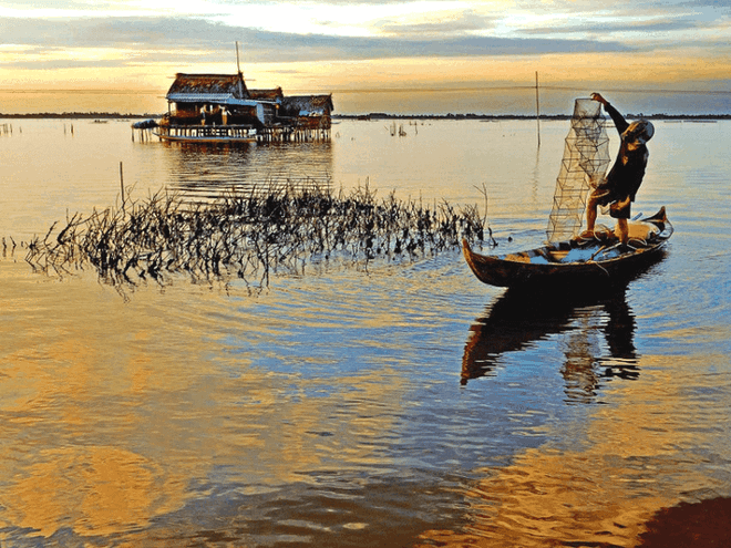 Le marais de Thi Tuong ảnh 2 Le marais de Thi Tuong ảnh 2