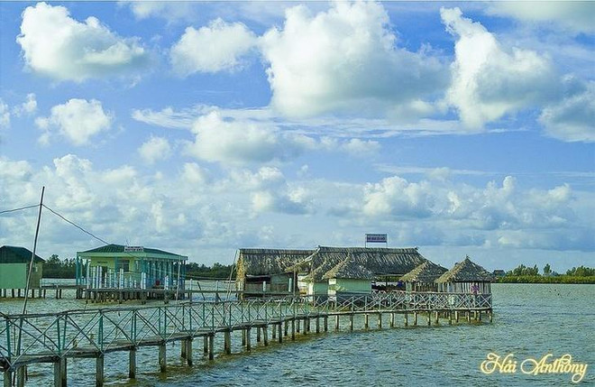 Le marais de Thi Tuong ảnh 1 Le marais de Thi Tuong ảnh 1