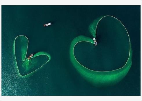 Quatre photos du Vietnam dans le Top 50 mondial 2019 ảnh 2 Quatre photos du Vietnam dans le Top 50 mondial 2019 ảnh 2