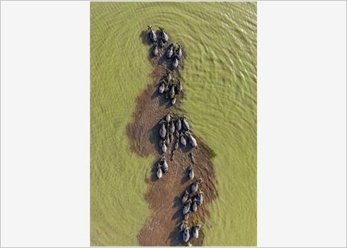 Quatre photos du Vietnam dans le Top 50 mondial 2019 ảnh 3 Quatre photos du Vietnam dans le Top 50 mondial 2019 ảnh 3