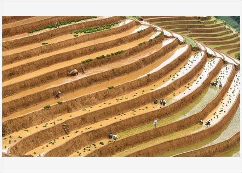 Quatre photos du Vietnam dans le Top 50 mondial 2019 ảnh 1 Quatre photos du Vietnam dans le Top 50 mondial 2019 ảnh 1