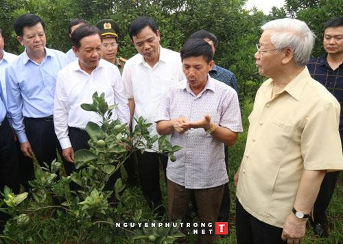 Le secrétaire général du Parti travaille dans la province de Hoa Binh ảnh 1 Le secrétaire général du Parti travaille dans la province de Hoa Binh ảnh 1