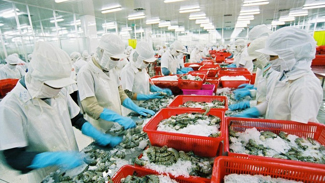 Aquaculture: l’objectif de 10 milliards d’USD d'exportation en 2018 sera difficile à atteindre ảnh 1