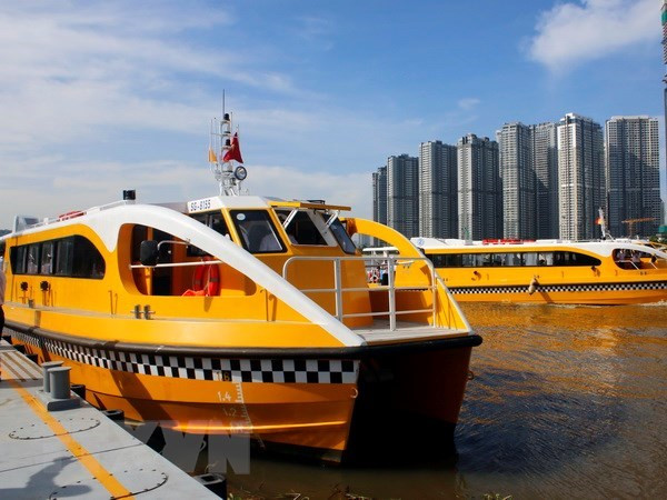 Promouvoir les potentiels du tourisme fluvial de HCM-Ville ảnh 1